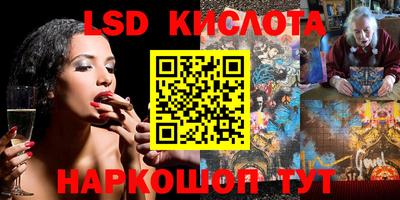 дмт Донской