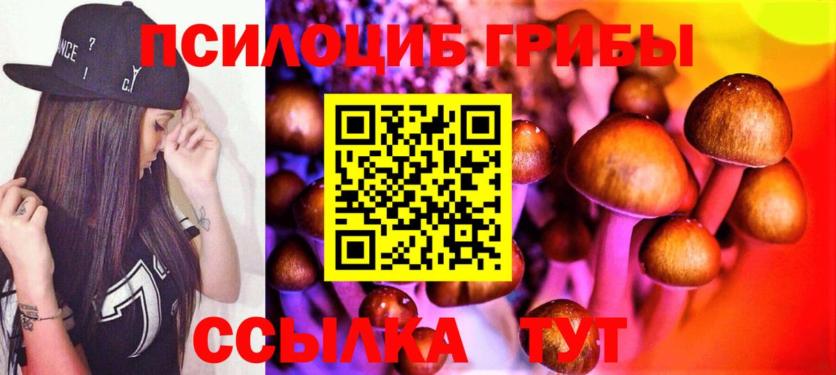 Галлюциногенные грибы Psilocybe Казань